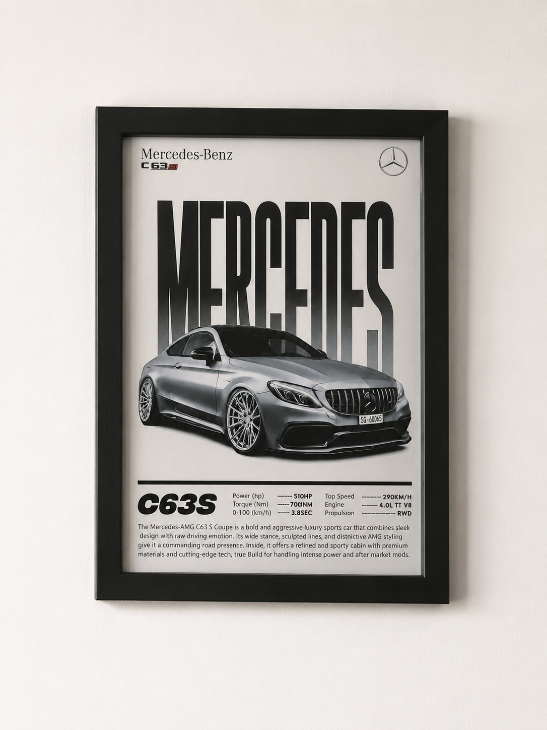Mercedes C63S Frame